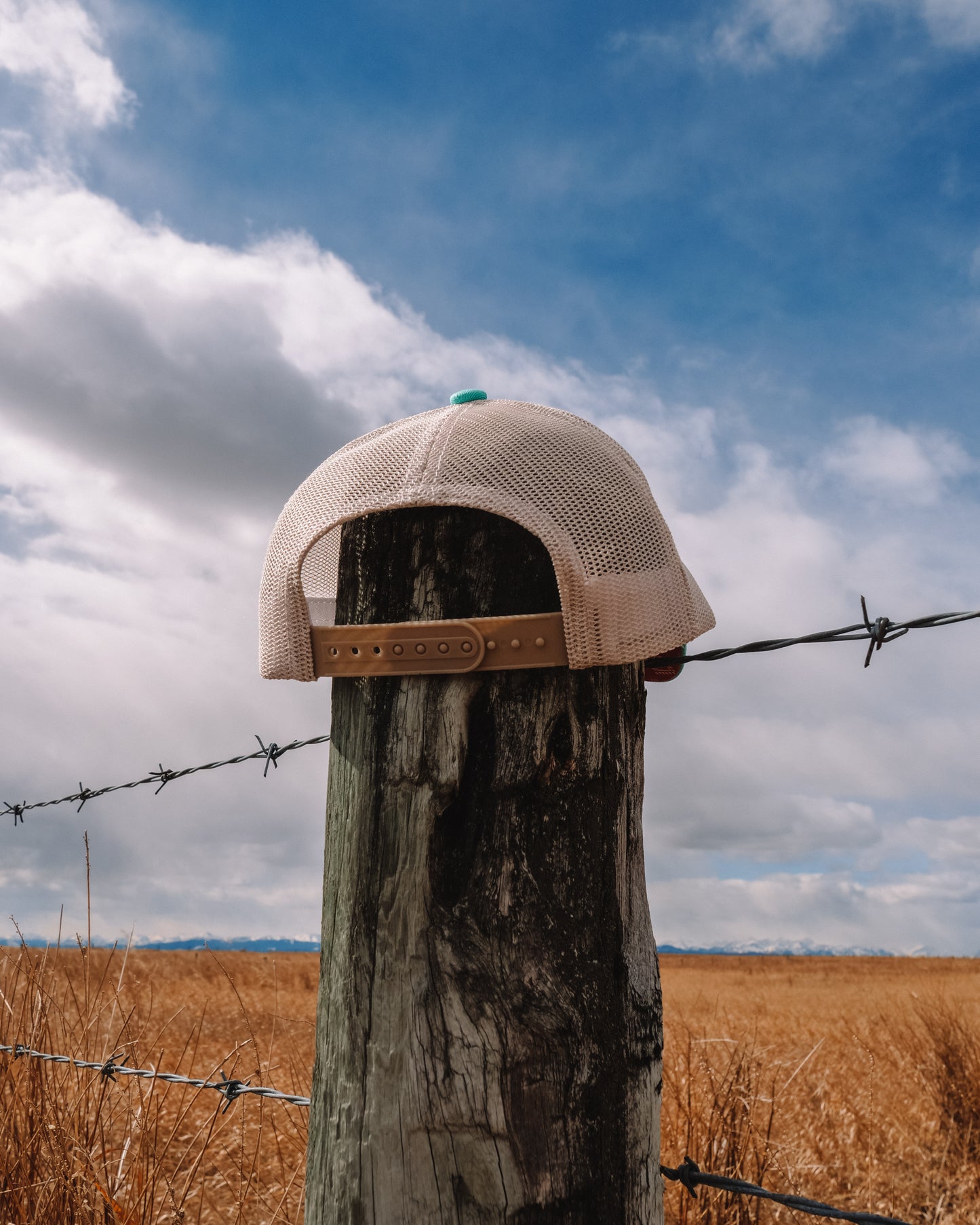 Out West ball cap in Aqua- Our in-demand trucker caps are finally here + proudly designed by Out West! Not only fun & functional but truly a stylish staple piece for any rancher! A gorgeous aqua color with a light cream mesh back & adjustable strap.