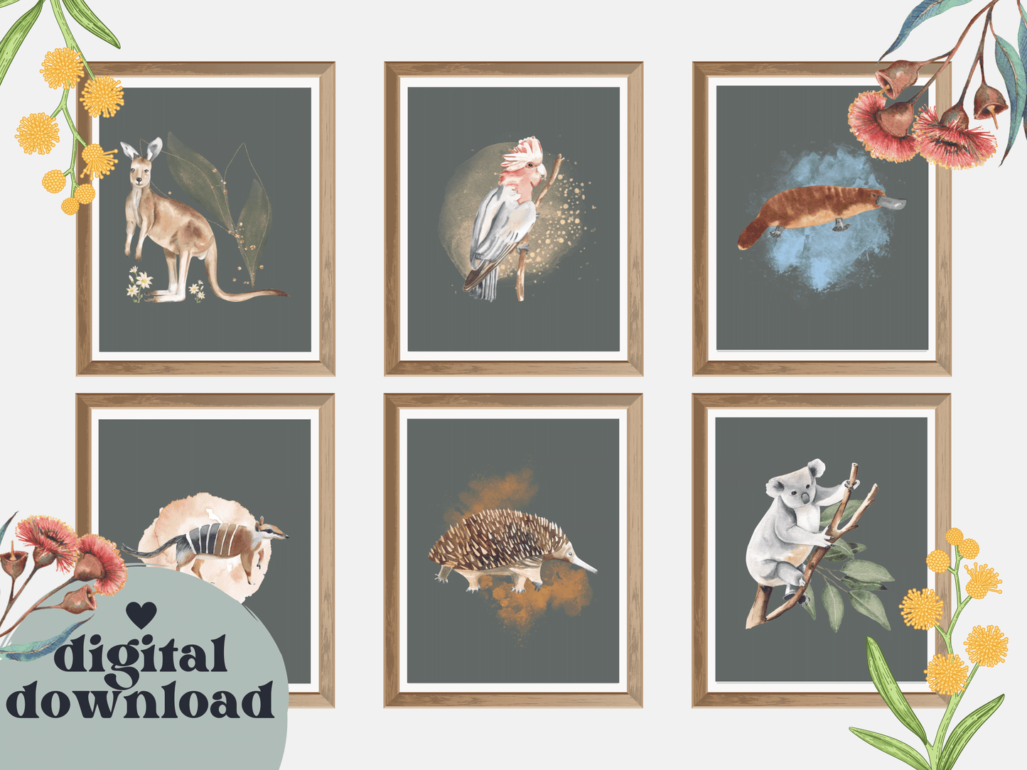 Australian animal print with flora for Nursery print baby toddler girls + boys home wall decor - kids bedroom- Koala, kangaroo, platypus, echidna, galah