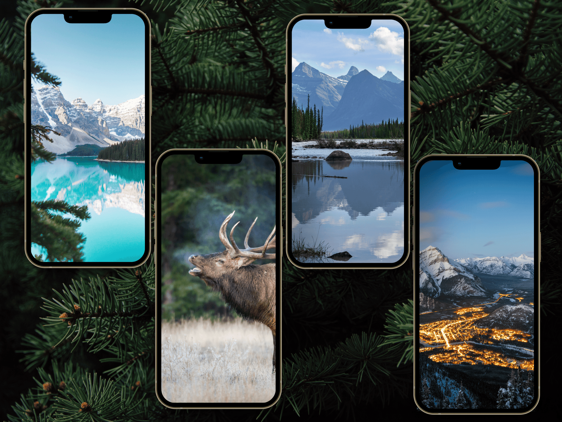 Canada Adventure travel boho Instagram highlight covers + story backgrounds - Canadian pine tree | exploring wanderlust camping IG icons