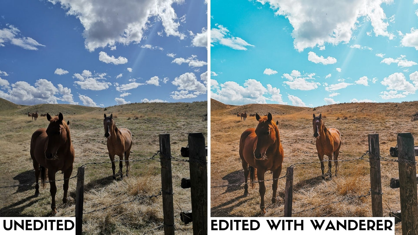 Mobile Presets - Everyday Adventure Presets Pack. Travel horse riding equestrian australian canada preset editing pack.